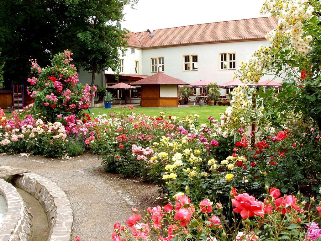 Hotel Weidenmuhle Mühlhausen Eksteriør bilde